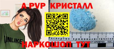 jwh Кингисепп