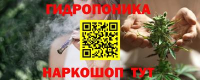 индика Кинель