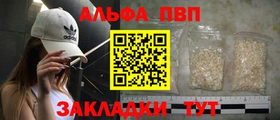 jwh Кингисепп